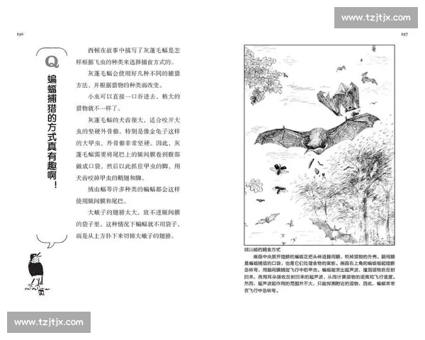 瓦勒伦与特罗姆的较量:从策略布局到心理博弈全景解析